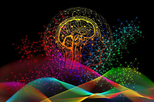 15+ Stroke/Neurological Daily Living Aids