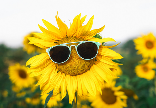 ClipDifferent Hot Hits of Summer