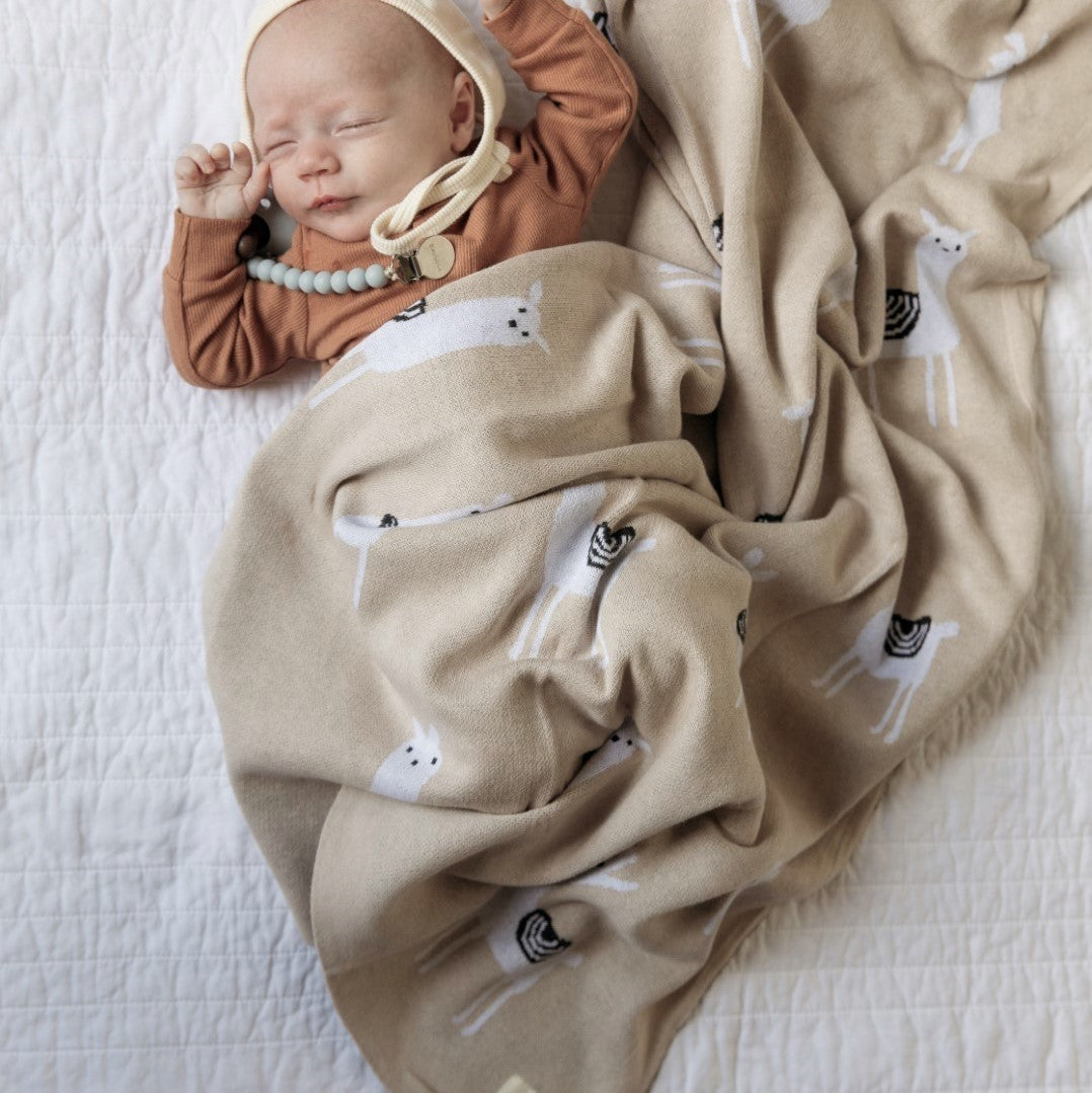 Newborn baby wrapped in a beige blanket with llama patterns on a white surface