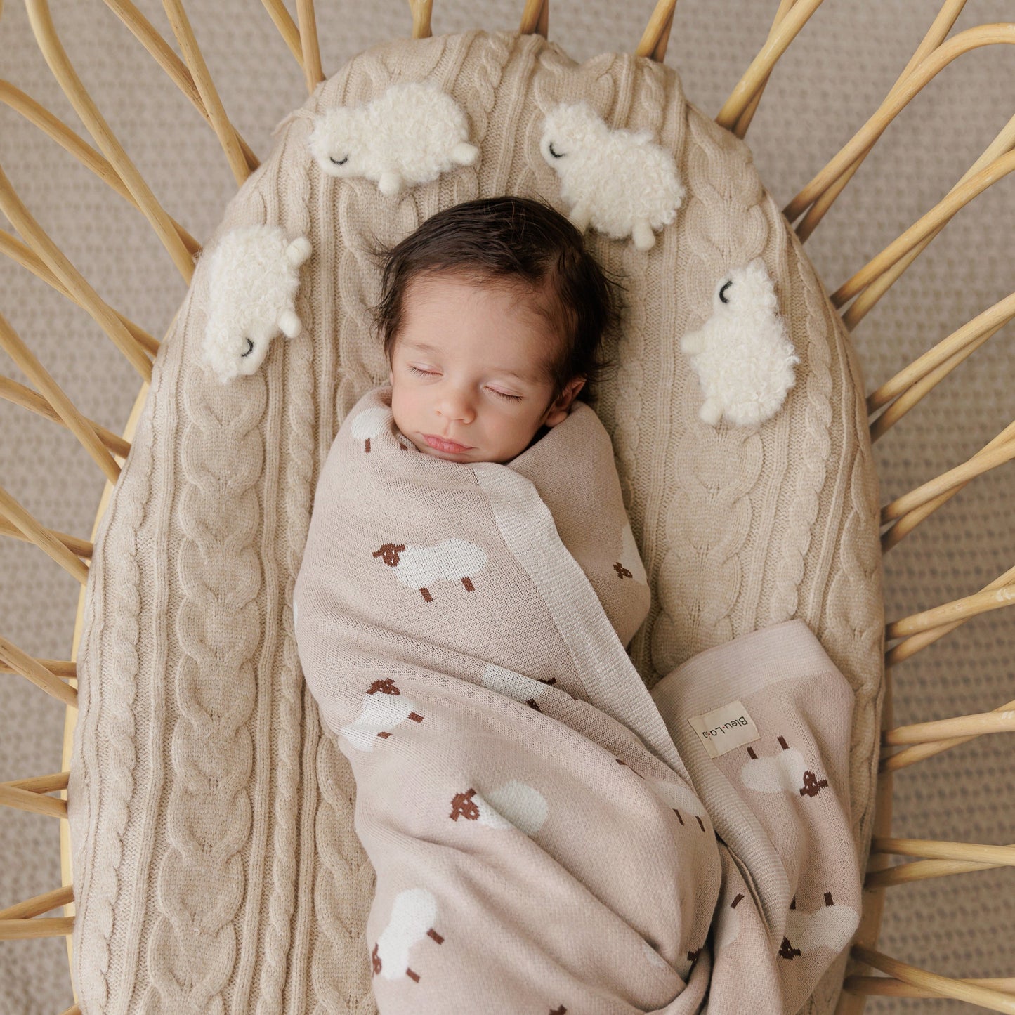 Newborn baby sleeping in a wicker basket with a beige textured blanket and cloud-patterned frin 'Bleu La La'.
