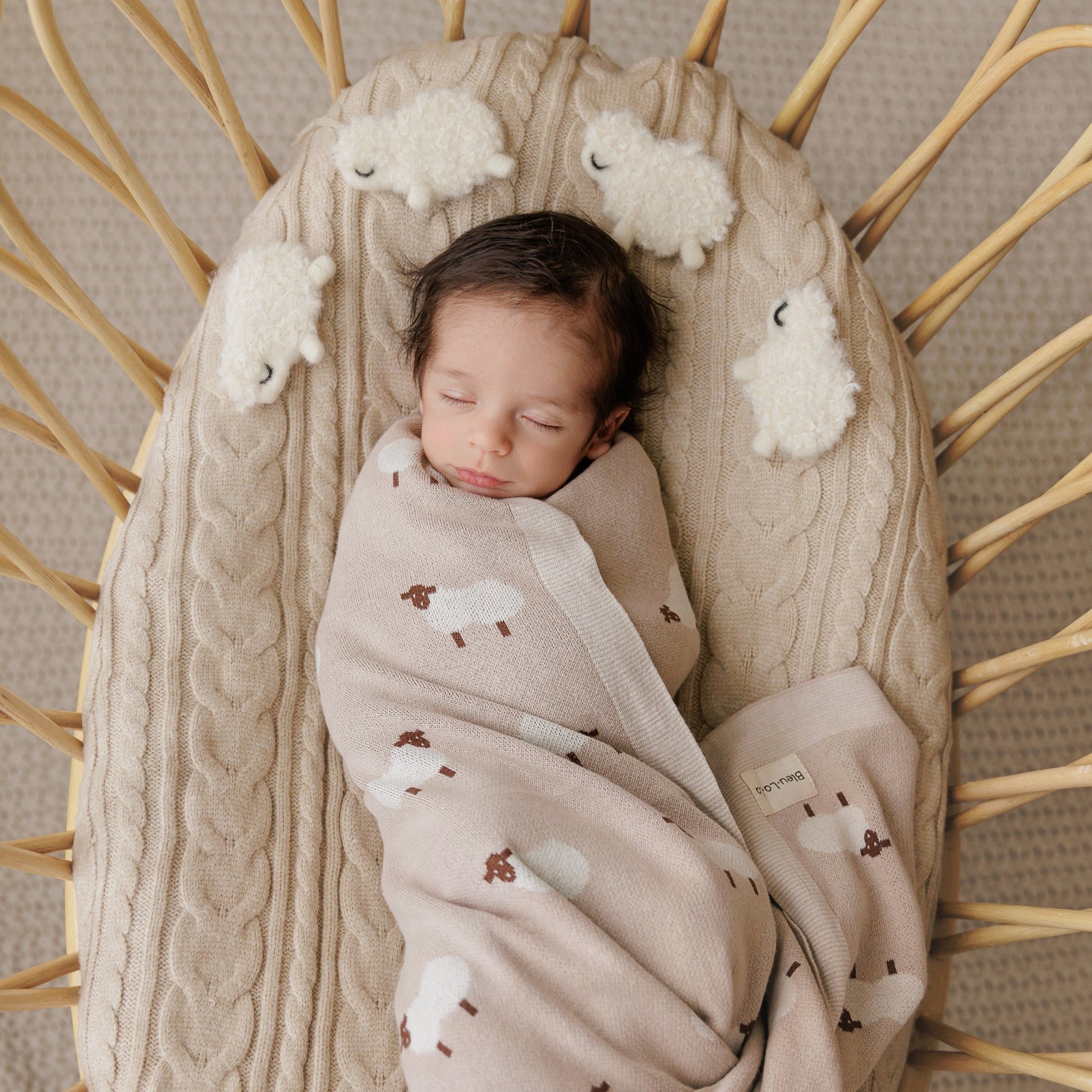 Newborn baby sleeping in a wicker basket with a beige textured blanket and cloud-patterned frin 'Bleu La La'.