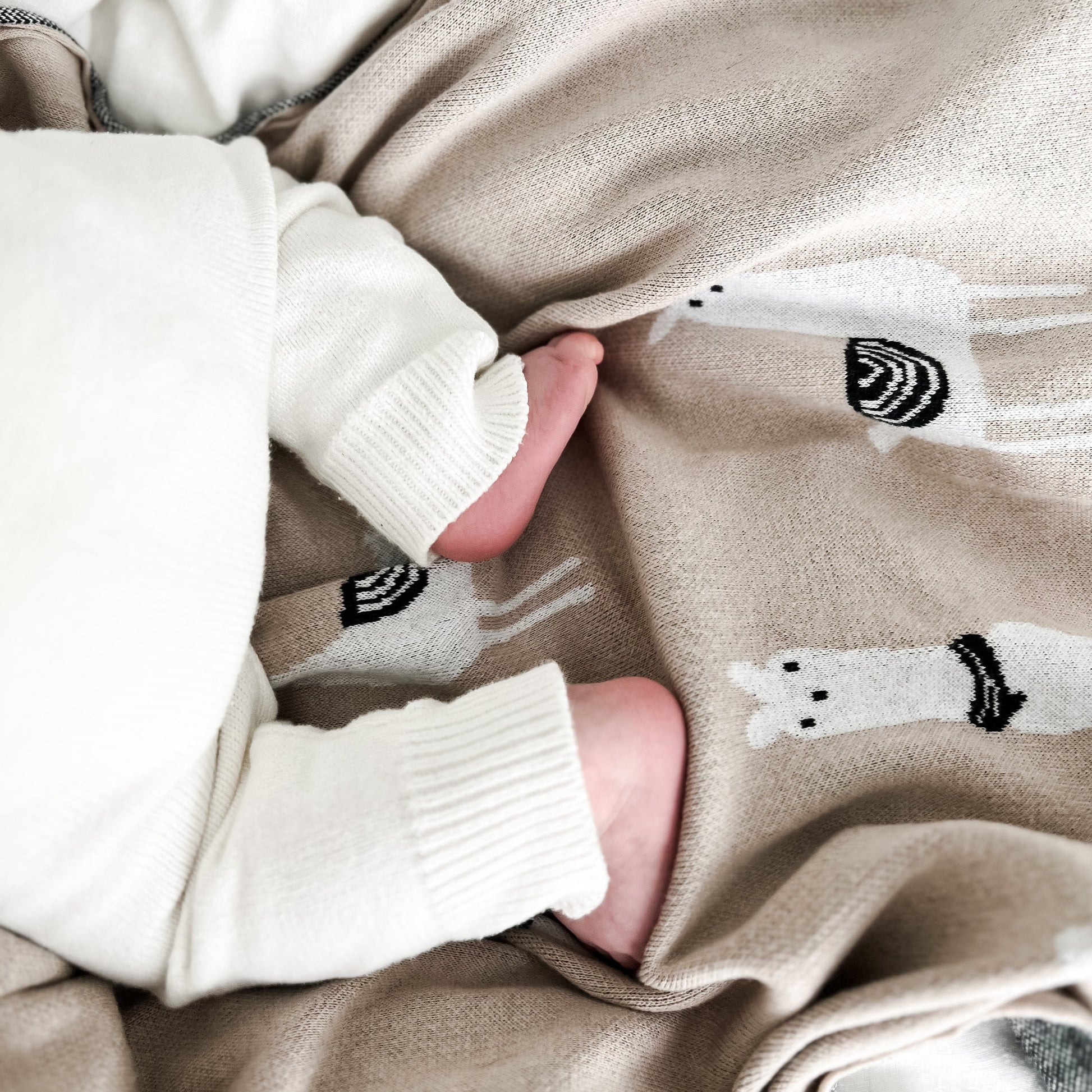 Close-up of a baby's feet in white socks with black and white lama patterns on beige fabric.
