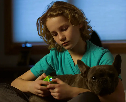 Boy clipping his finger nails with dog on lap