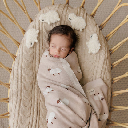 Newborn baby sleeping in a wicker basket with a beige textured blanket and cloud-patterned frin 'Bleu La La'.
