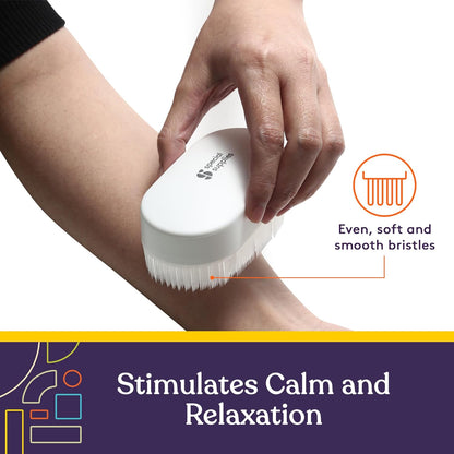 Special Supplies Sensory Brush Therapressure Therapy Brush for Occupational and Sensory Brushing, 2 Pack, Stimulating and Calming Tools for Kids and Adults, Soft Flexible Bristles, Latex Free