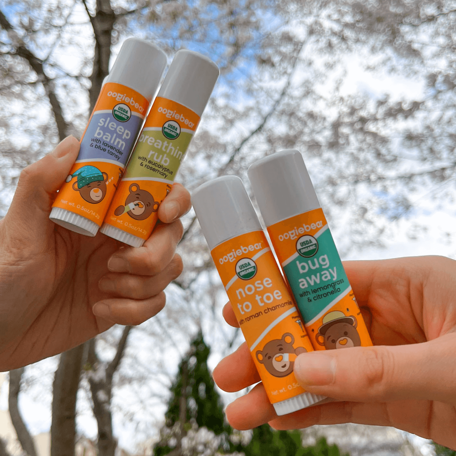 Hands holding oogiebear 4-pack balm collection with Nose to Toe, Breathing Rub, Bug Away and Sleep Balm tubes